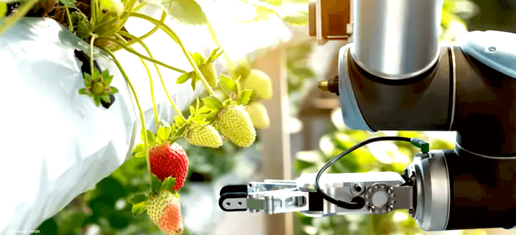 การใช้เทคโนโลยีหุ่นยนต์ (Robotics) เพื่อเพิ่มประสิทธิภาพการผลิตเกษตรในฟาร์มอัจฉริยะ