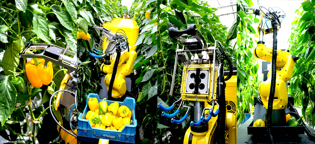 การใช้เทคโนโลยีหุ่นยนต์ (Robotics) เพื่อเพิ่มประสิทธิภาพการผลิตเกษตรในฟาร์มอัจฉริยะ
